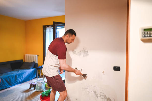 Office Mold Removal Services in Jackson, SC