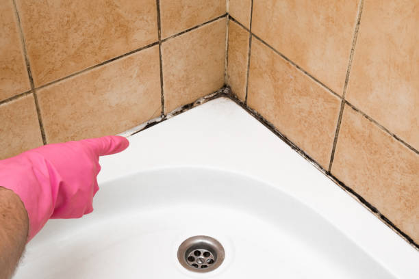 Best Mold Testing  in Jackson, SC